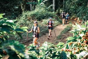 BIB: 
                            <button type="button" onclick="openModal(25850060)" class="btn btn-primary btn-sm float-right btn-popup" data-toggle="modal" data-target=".modal-high-quality">
                        <i class="fas fa-shopping-cart"></i> Add to Cart
                    </button>
                                            <button type="button" onclick="isThisMe(25850060, true)" class="btn btn-success btn-sm float-right btn-popup btn-isme hidden" data-toggle="tooltip" data-placement="bottom" title="นี่คือรูปของคุณใช่ไหม คลิกที่นี่เพื่อเอาเข้าอัลบั้ม">
                        <i class="fas fa-plus"></i> Add to album
                    </button>
                    <button type="button" onclick="isThisMe(25850060, false)" class="btn btn-warning btn-sm float-right btn-popup btn-isnotme hidden">
                        <i class="fas fa-ban"></i> Remove from album
                    </button>